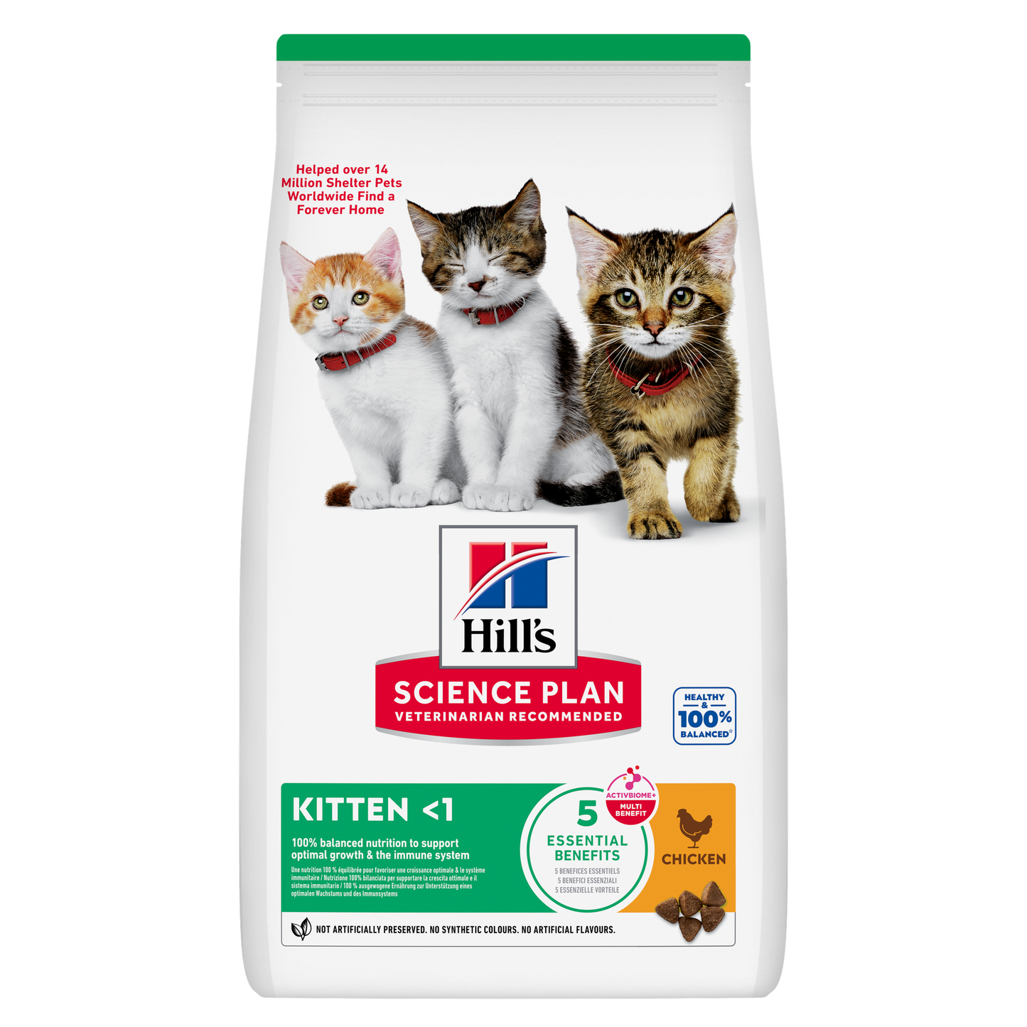 HILLS GATO KITTEN