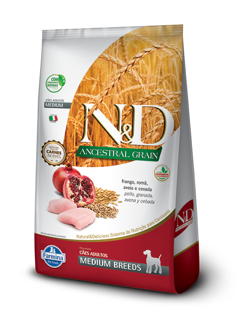 NYD ANCESTRAL PERRO