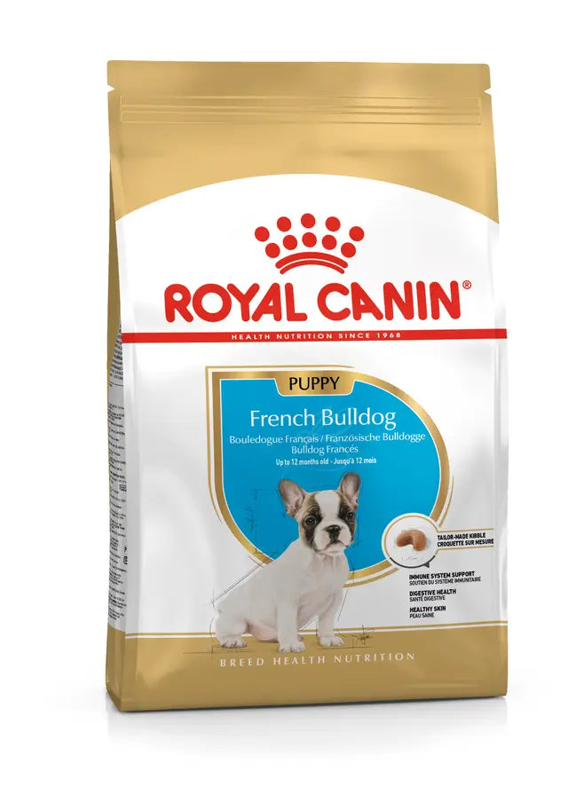 ROYAL FRENCH BULLDOG PUP