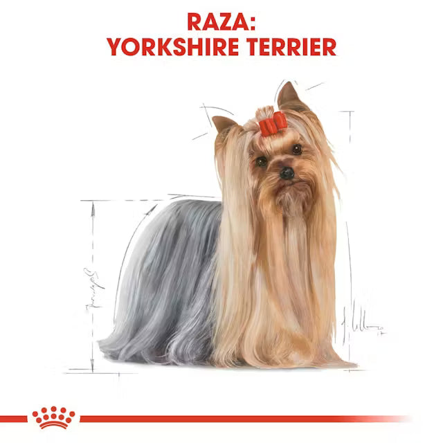 ROYAL YORKSHIRE ADULT