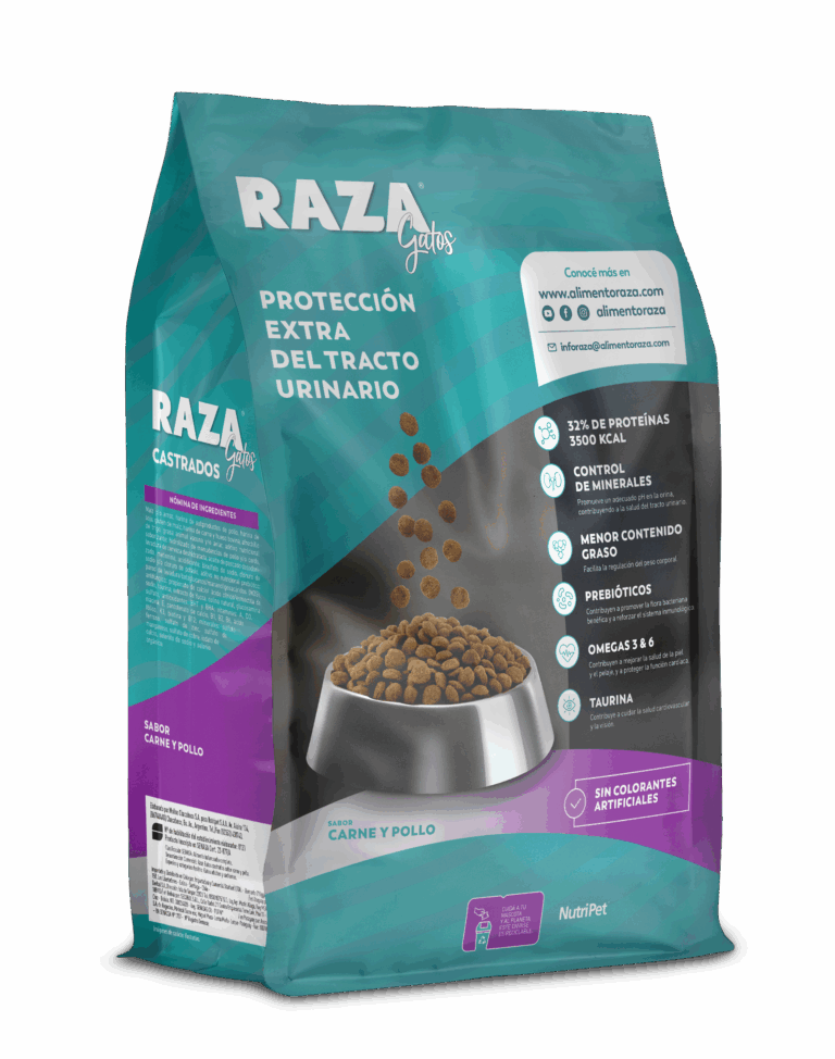 RAZA GATO CASTRADO