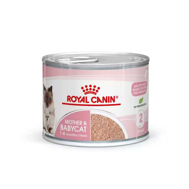 ROYAL LATA CAT MOTHER&BABY 195 G