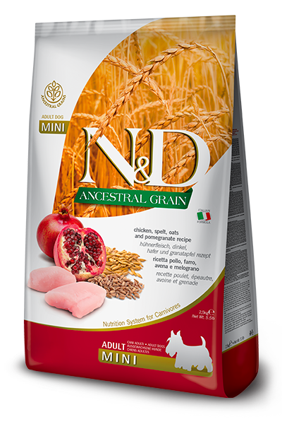 NYD ANCESTRAL PERRO