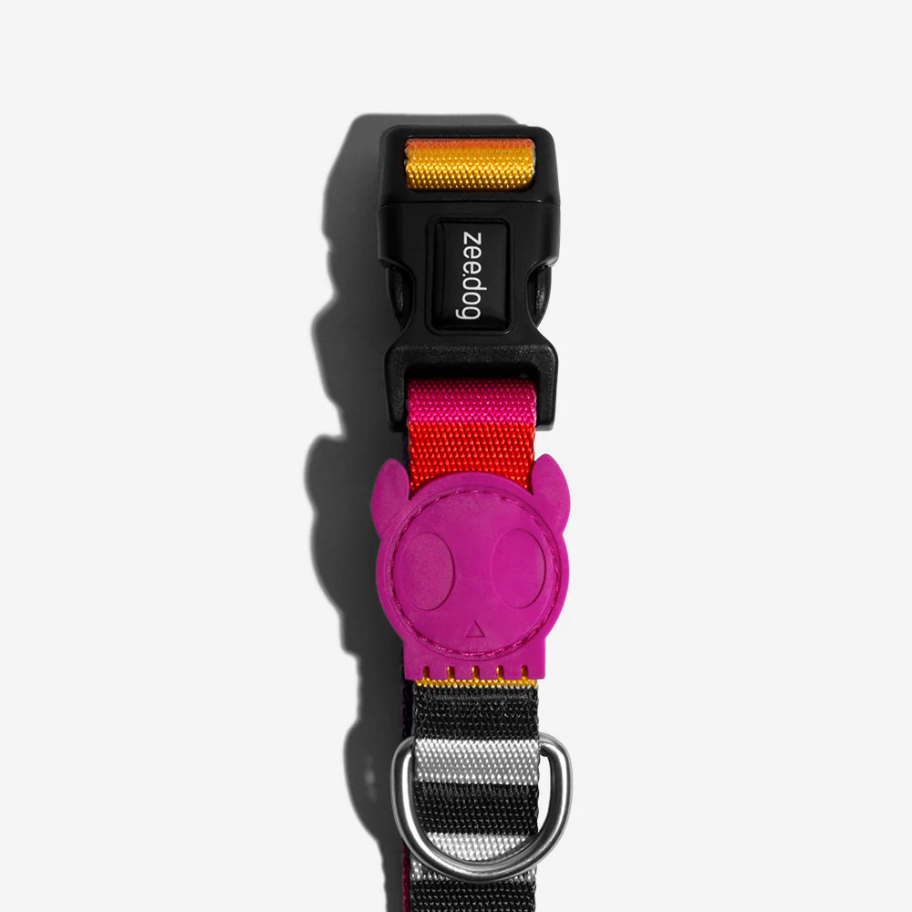ZEE DOG COLLAR PRISMA