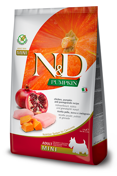 NYD PUMPKIN PERRO