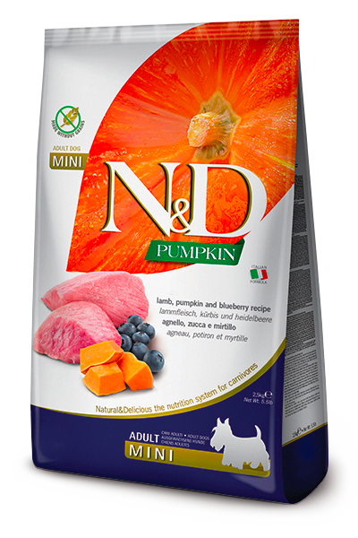 NYD PUMPKIN PERRO