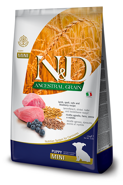 NYD ANCESTRAL PERRO