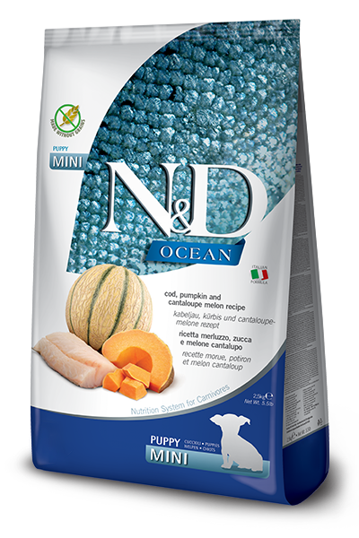 NYD OCEAN DOG