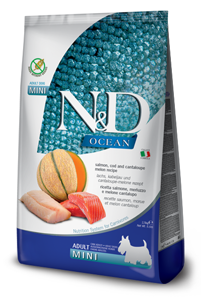 NYD OCEAN DOG