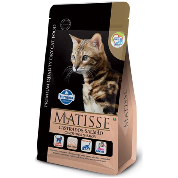 MATISSE GATO CASTRADO