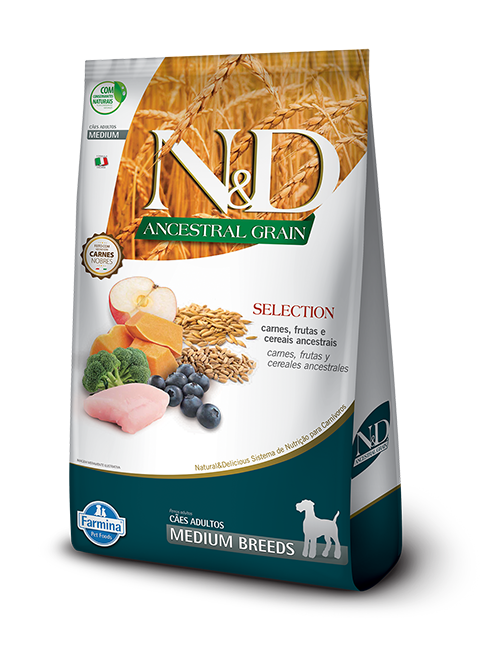 NYD ANCESTRAL PERRO