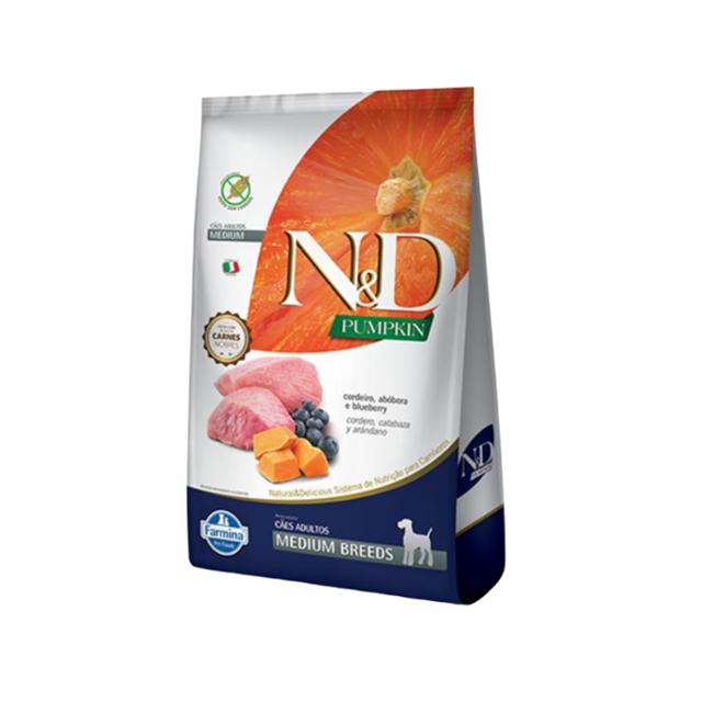 NYD PUMPKIN PERRO