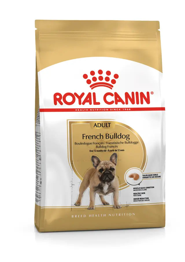 ROYAL FRENCH BULLDOG PERRO ADULTO