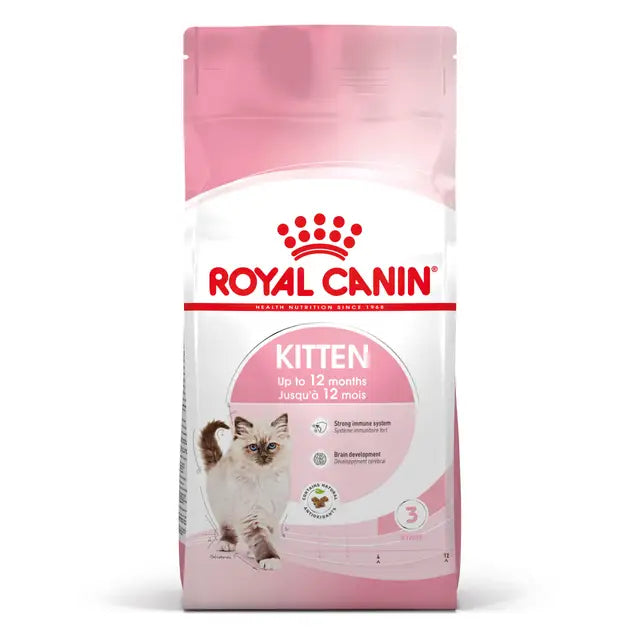 ROYAL CAT KITTEN
