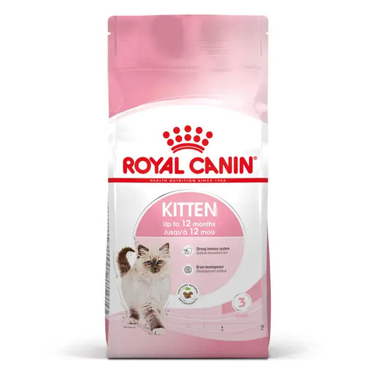 ROYAL CAT KITTEN