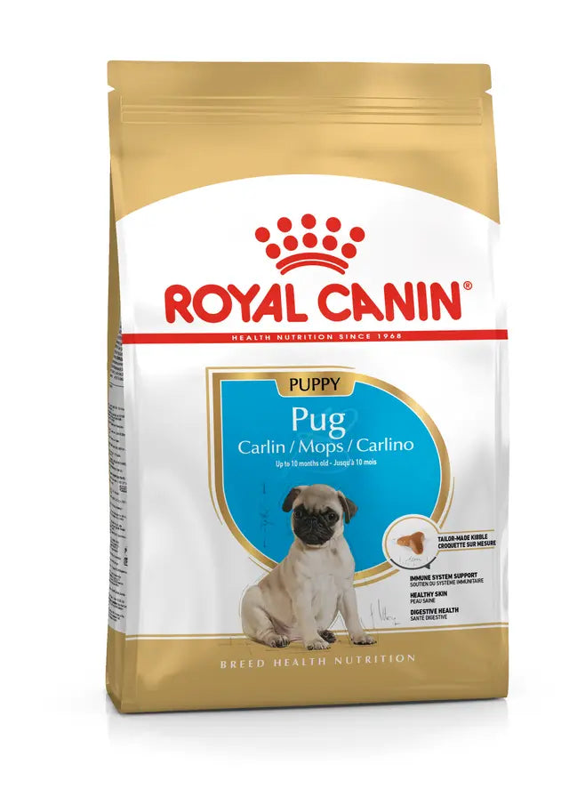 ROYAL PUG CACHORRO