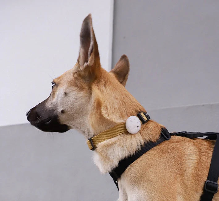 AIRTAG HOLDER