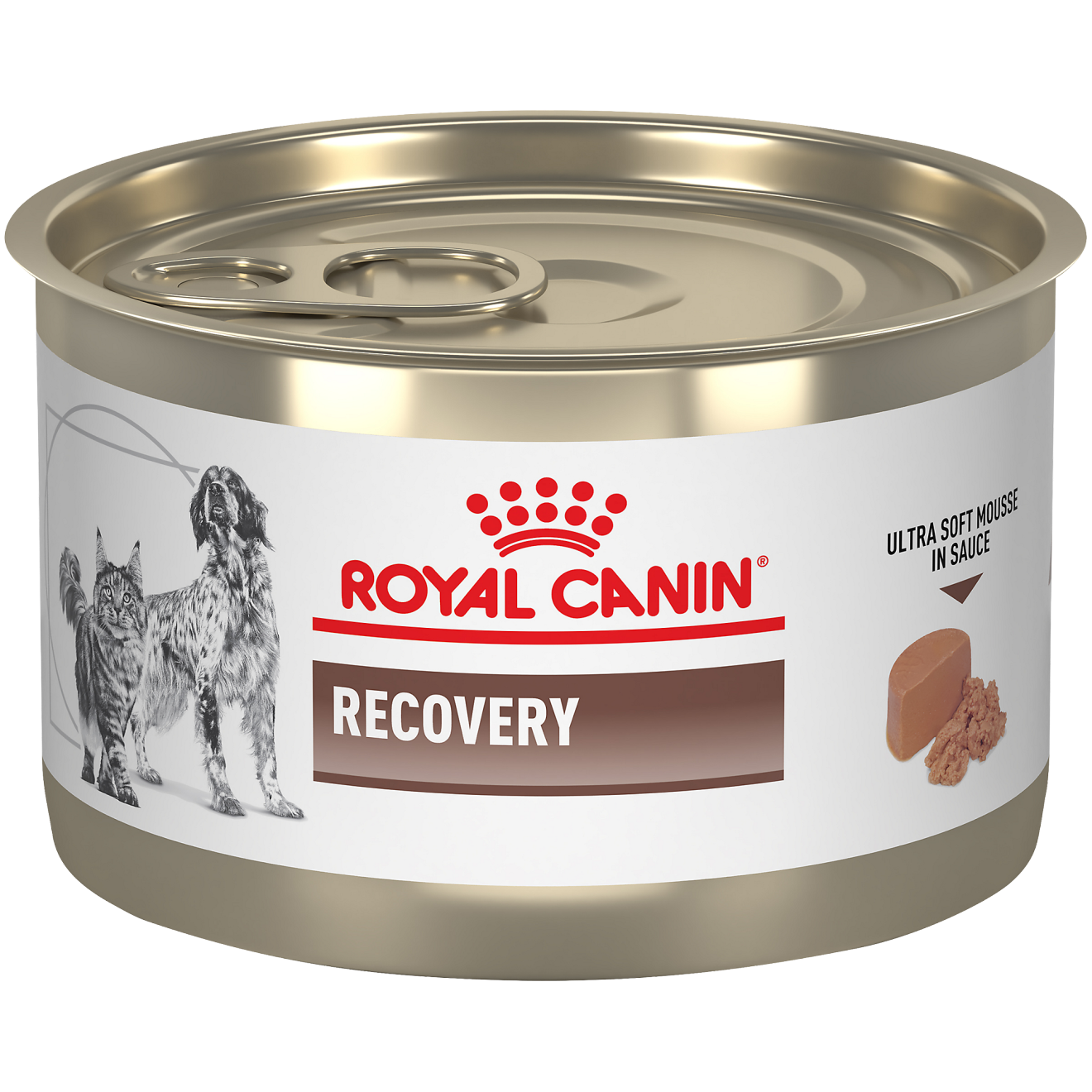 ROYAL LATA RECOVERY PERRO Y GATO