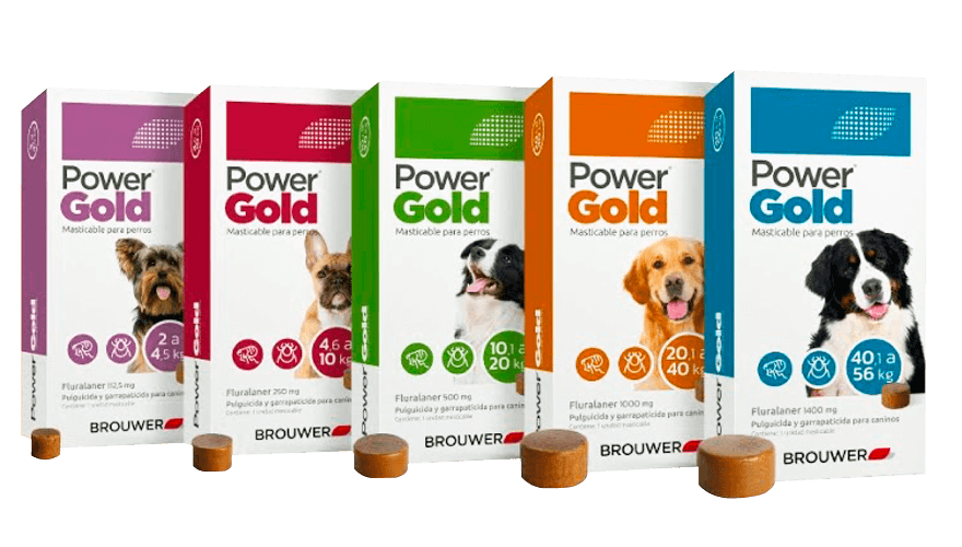 POWER GOLD