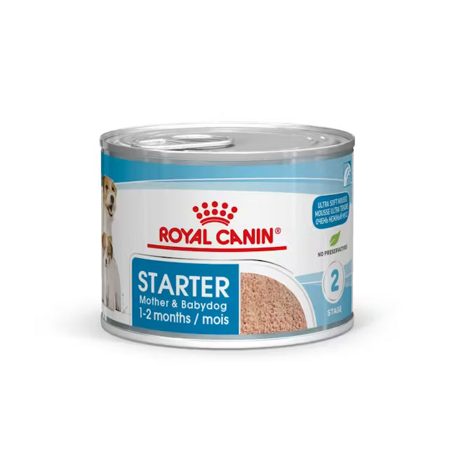 ROYAL LATA STARTER 195GR