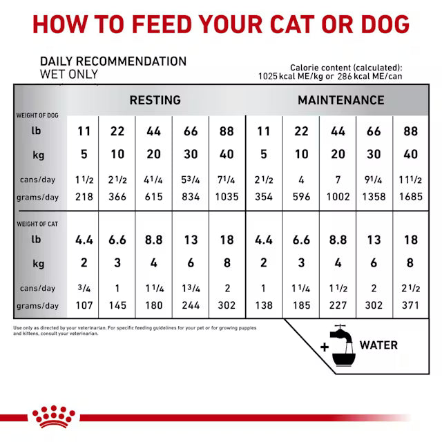ROYAL LATA RECOVERY PERRO Y GATO