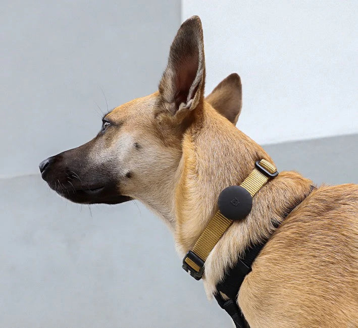 AIRTAG HOLDER